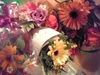070128_flowers_ed_m